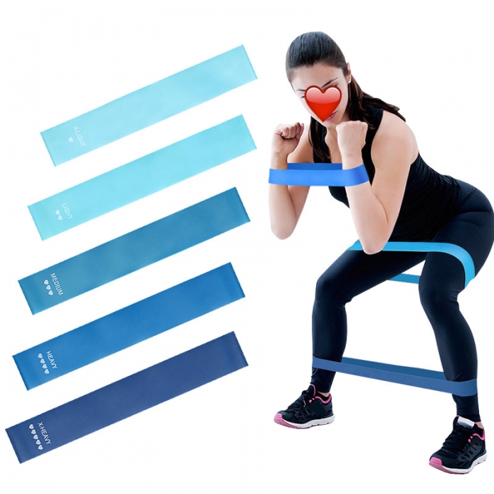 Workout Resistance Bands Resistance Training Yoga and Physica Therapy Mini Loop Bands | Includes Free Mesh Carrying Bag